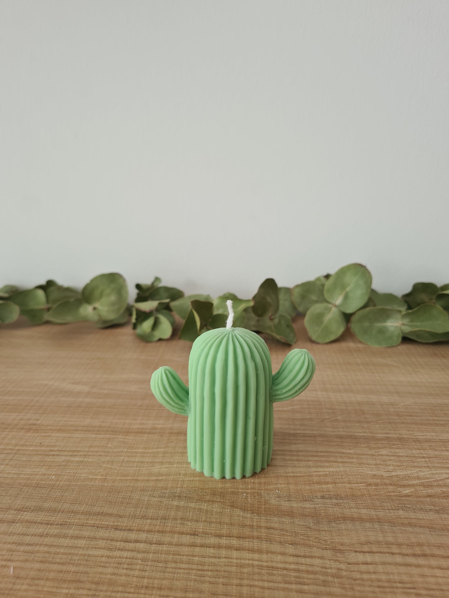 Vela Cactus