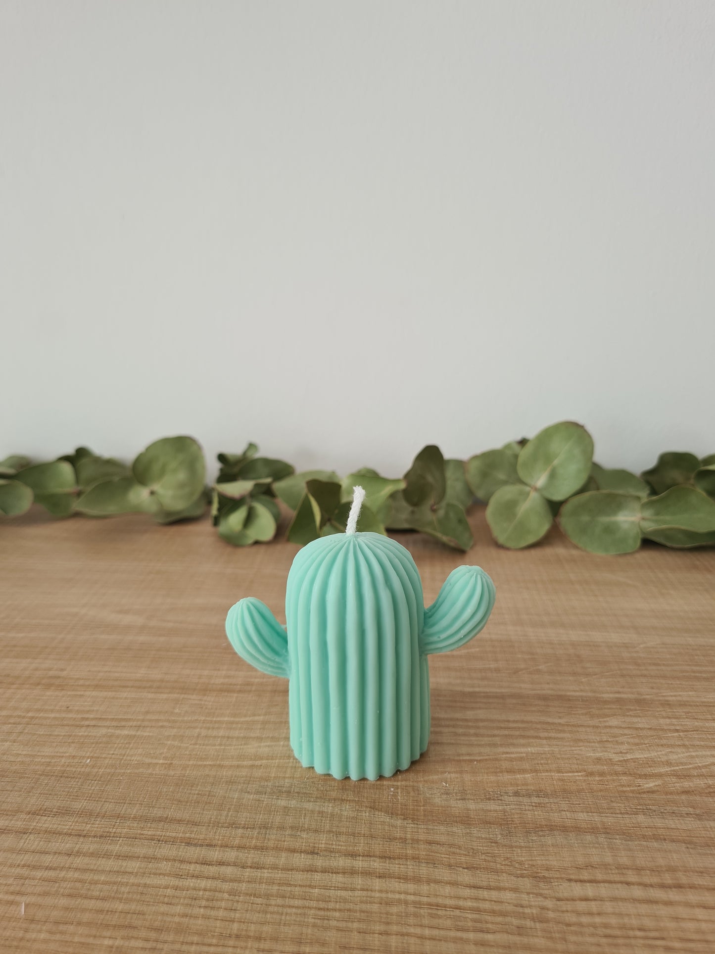 Vela Cactus