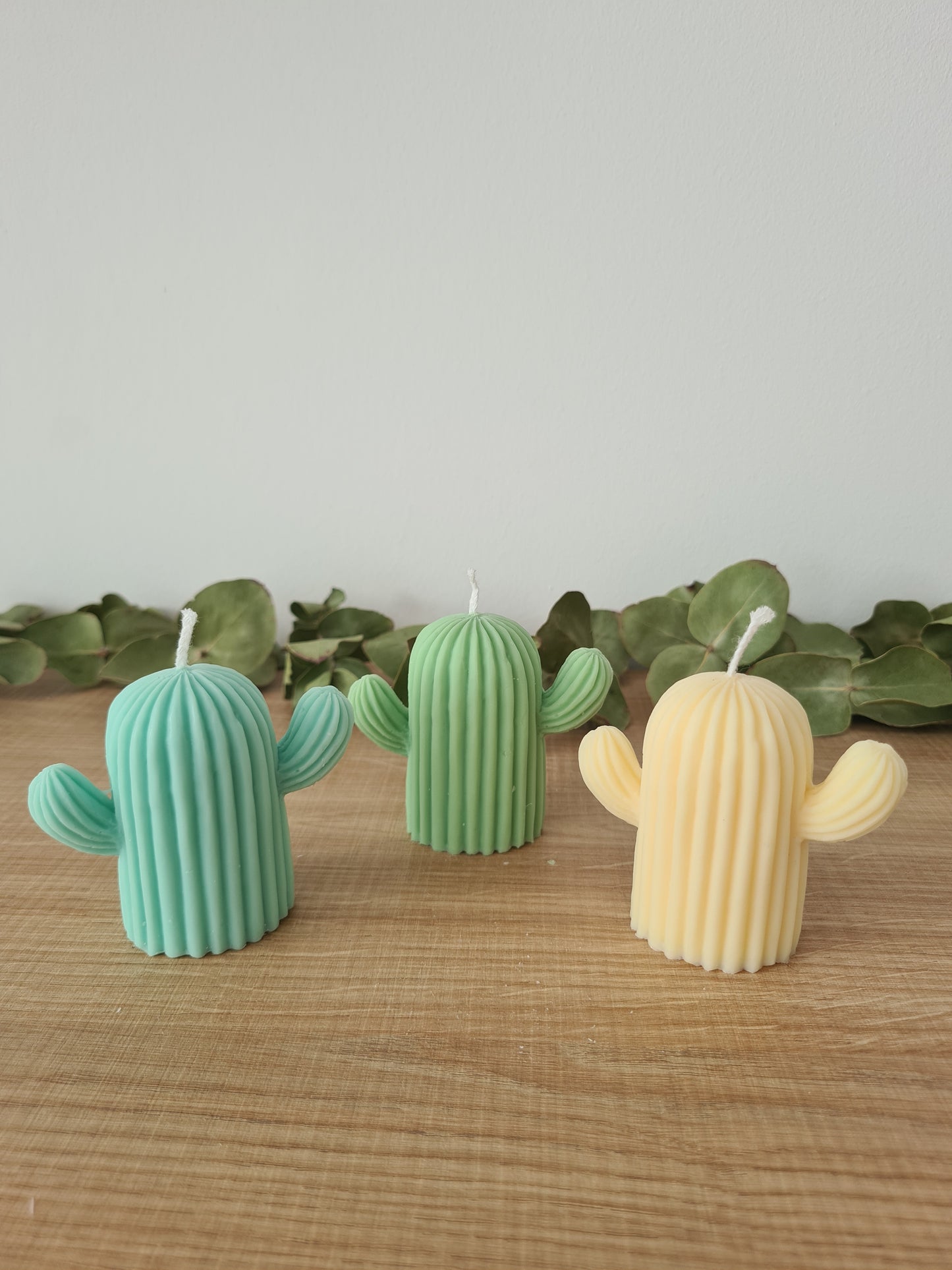 Vela Cactus