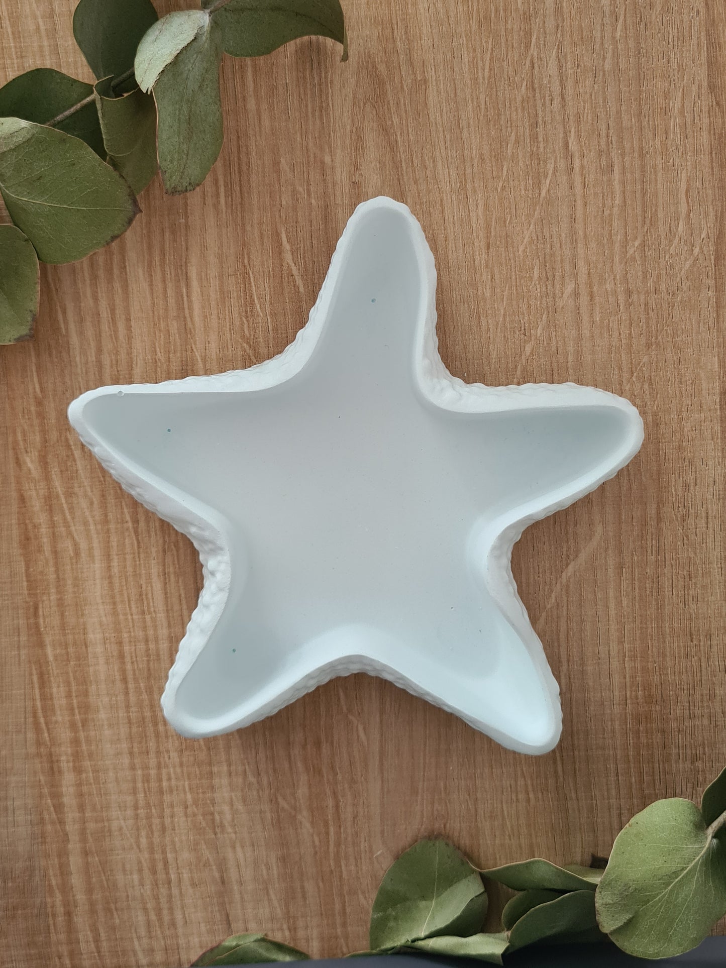 Joyero Estrella de mar