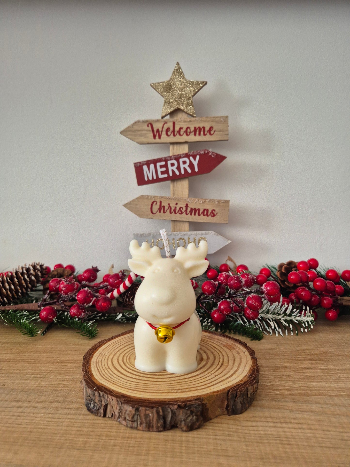 Vela Rudolf