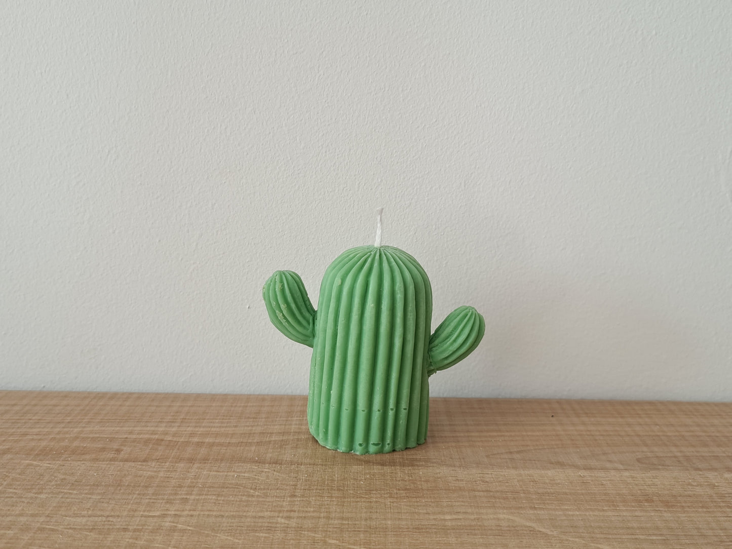 Vela Cactus