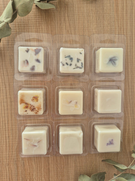 Pack Completo Mini Wax Melts